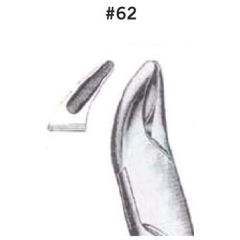 Universal forceps for upper teeth & roots #62
